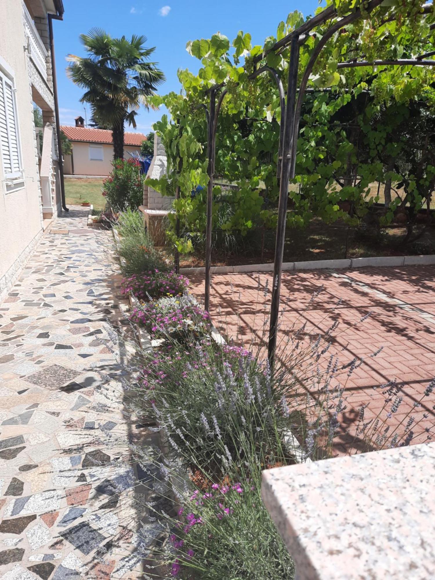 Apartments Marinela Poreč Pokój zdjęcie